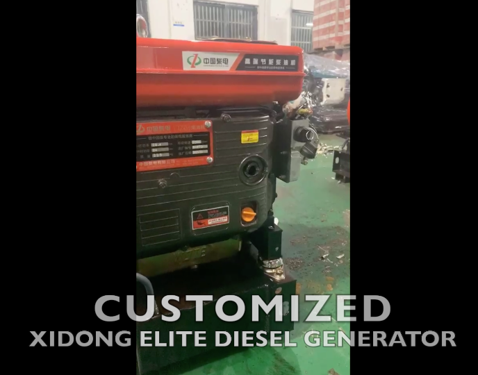 customized Diesel Generator of Elite Model